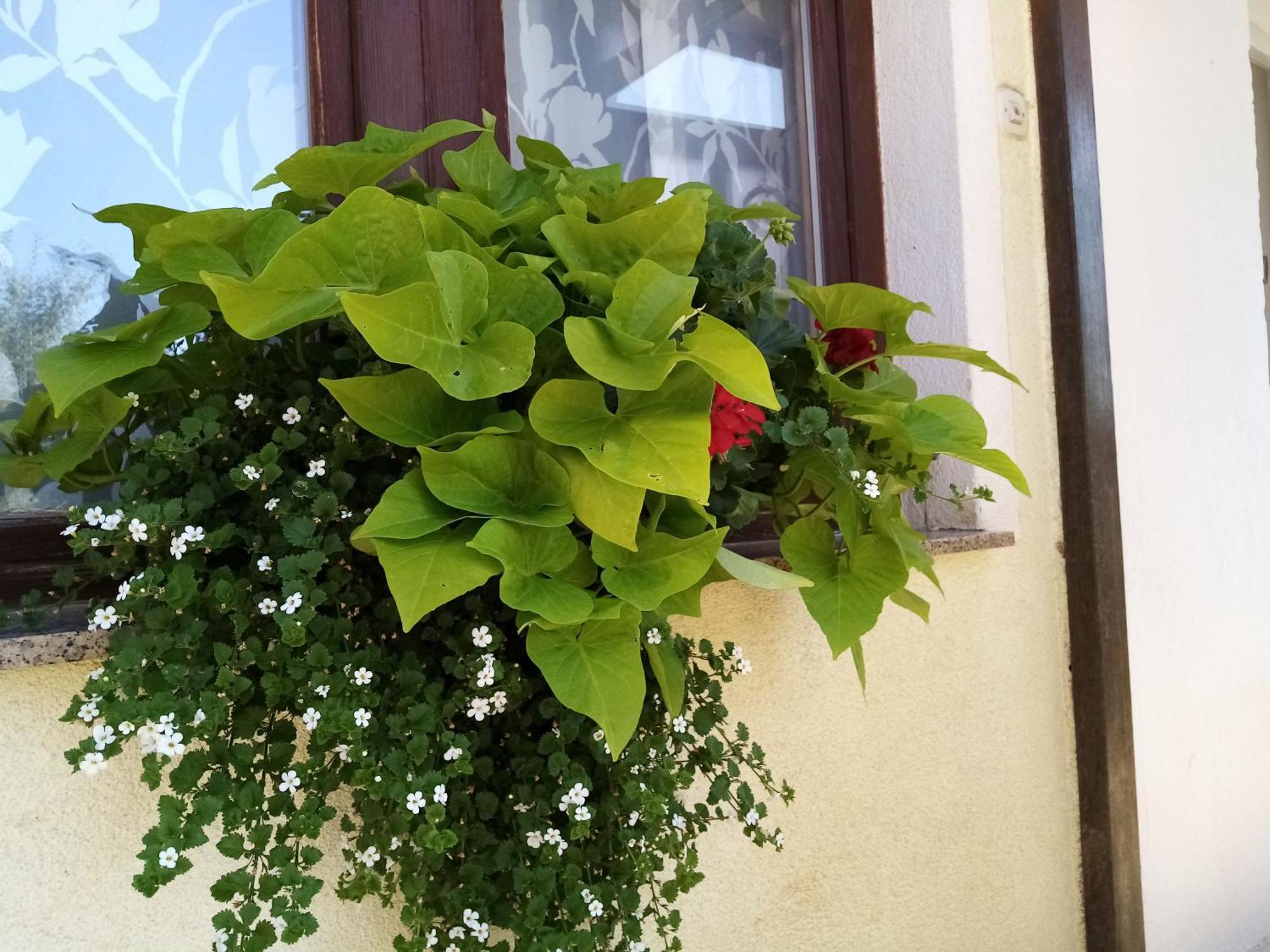 House Josipa Hotel Раковица Екстериор снимка