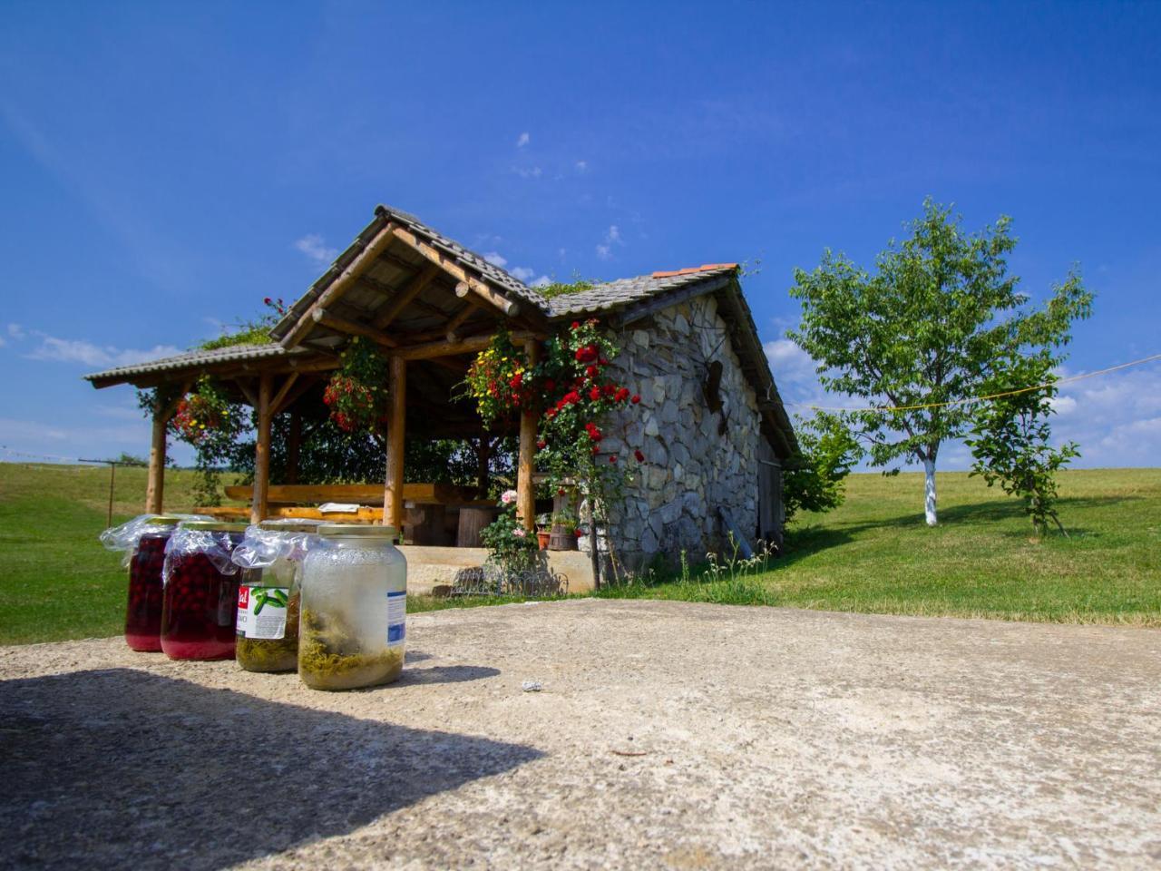 House Josipa Hotel Раковица Екстериор снимка